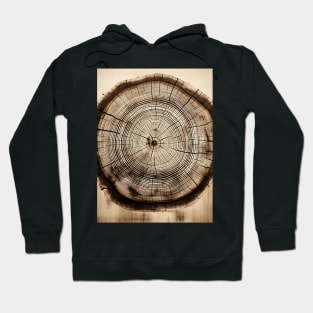 Tree Rings: Layers of Time on a Dark Background Hoodie